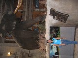Washinton 036 